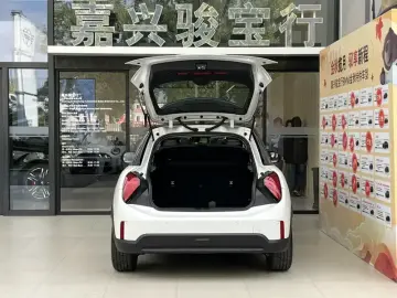 2025 Mini Electric MINI COOPER с пробегом 3 000 км