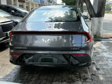 2024 Wuling Wuling Xingguang с пробегом 100 км