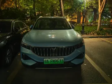 2021 Voyah FE с пробегом 103 000 км