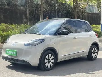 Wuling Wuling Bingo