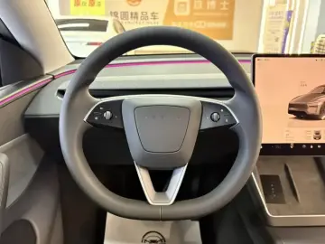 2025 Tesla Model Y с пробегом 55 000 км