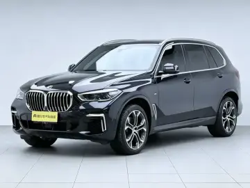 2022 BMW X5 с пробегом 33 600 км