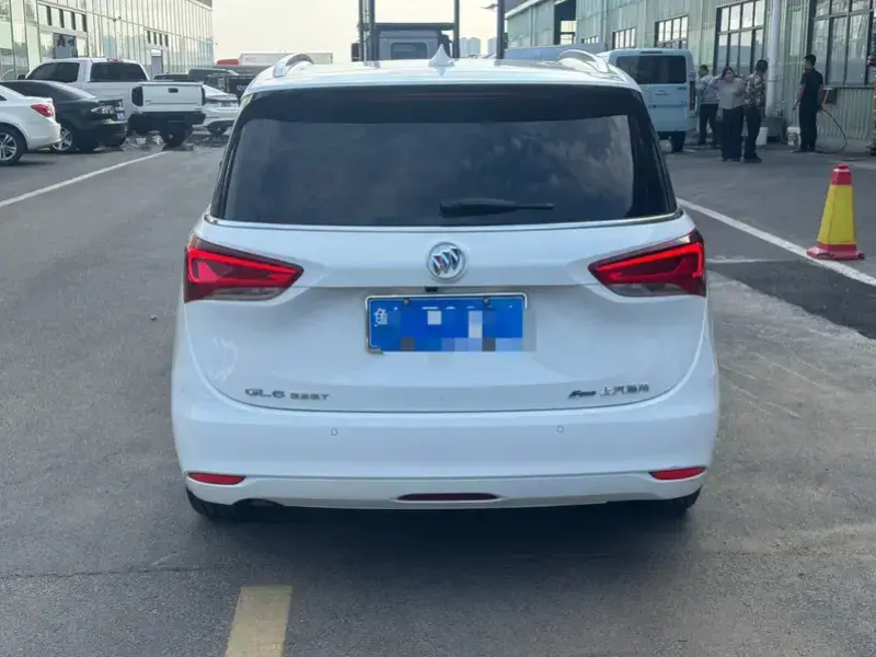 2019 Buick GL6 с пробегом 30 000 км
