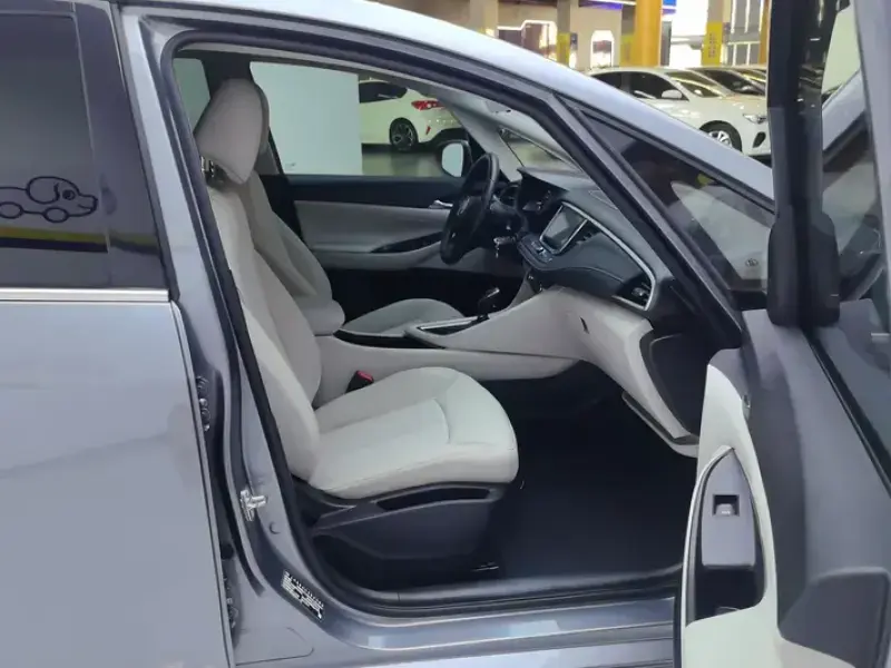 2019 Buick GL6 с пробегом 28 000 км