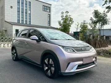 2025 BYD Dolphin с пробегом 43 000 км