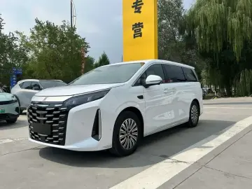 2025 BYD Xia (M9) с пробегом 3 000 км