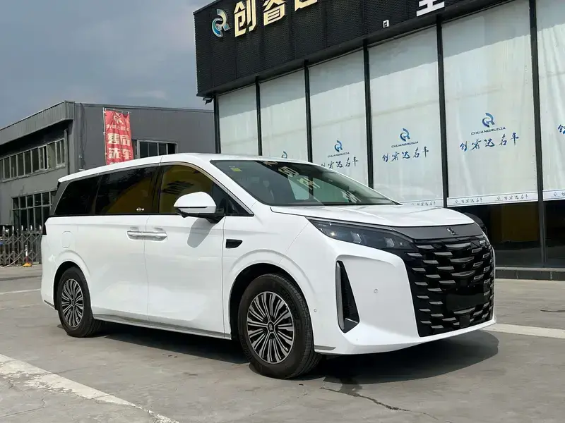 2025 BYD Xia (M9) с пробегом 3 000 км