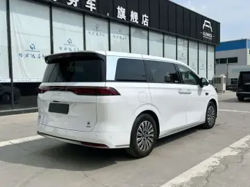 2025 BYD Xia (M9) с пробегом 3 000 км