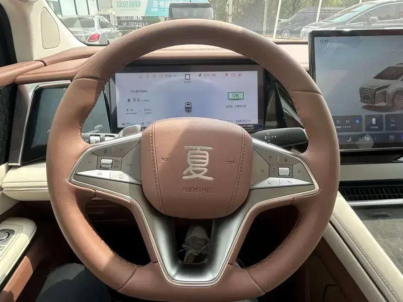 2025 BYD Xia (M9) с пробегом 3 000 км