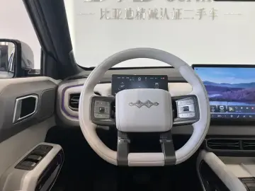 2025 BYD FangChengBao Titanium 3 с пробегом 17 000 км