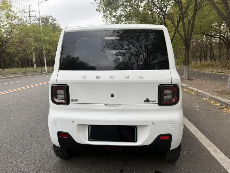 2024 Geely Panda с пробегом 12 000 км