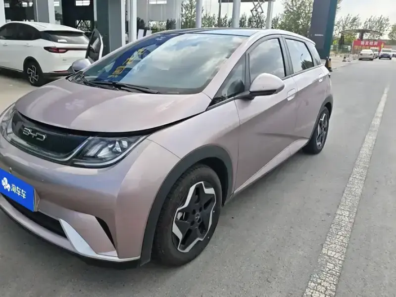 2021 BYD Dolphin с пробегом 76 000 км