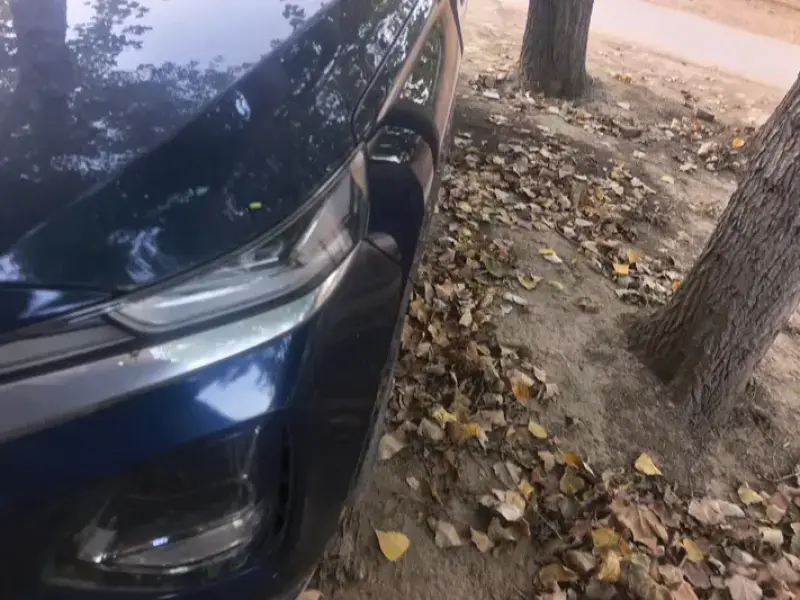 2019 Hyundai Santa Fe с пробегом 70 000 км